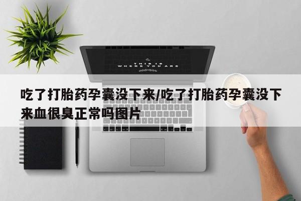 米非米索购买吃了打胎药孕囊没下来/吃了打胎药孕囊没下来血很臭正常吗图片